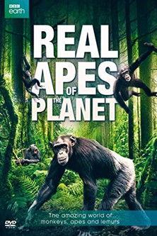 The Real Apes of the Planet (2014)