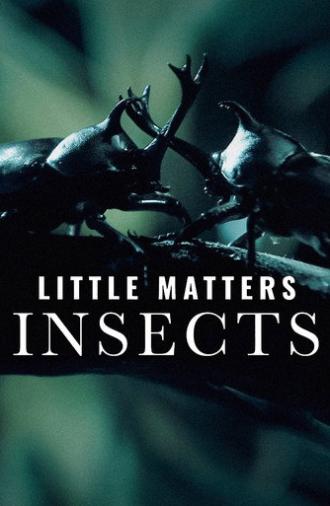 Little Matters: Insects (2015)