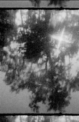 In the Darkness (2025)