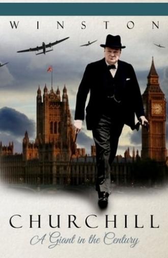 Winston Churchill: A Giant in the Century (2014)