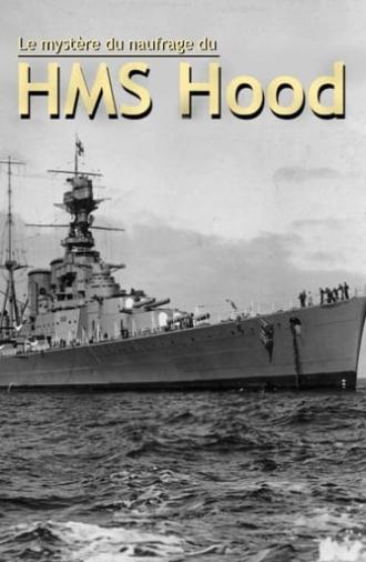 How The Bismarck Sank HMS Hood (2012)