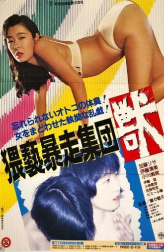 No Man's Land (1991)