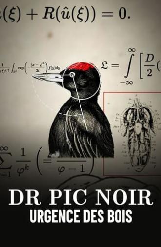 Dr Pic Noir, urgence des bois (2023)