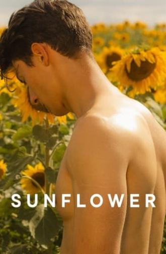 Sunflower (2024)