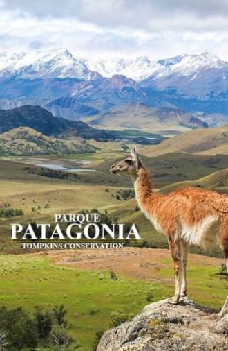 Parque Patagonia (2017)