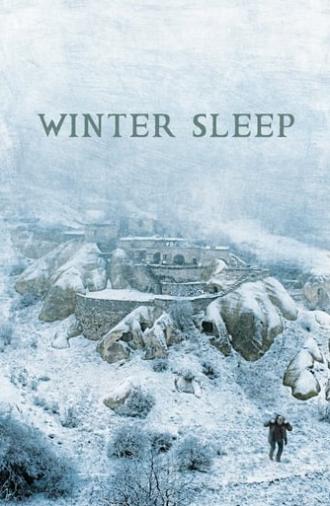 Winter Sleep (2014)