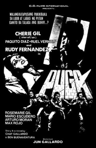 Puga (1980)