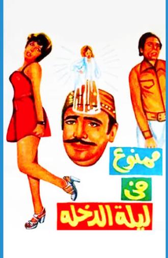 Forbidden at the Wedding Night (1975)