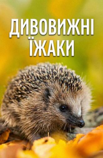 Year of the Hedgehog (2009)