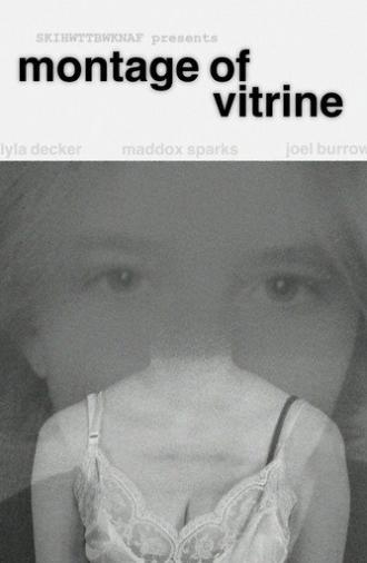 Montage of Vitrine (2026)