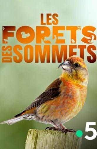 Les forêts des sommets (2017)