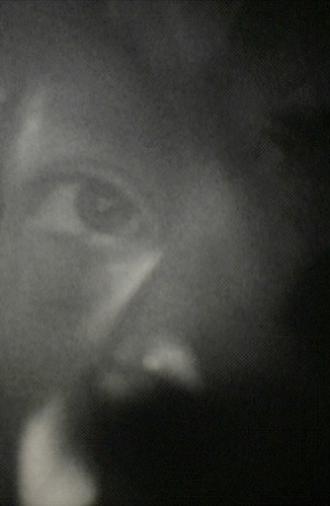 Within Mirrors (2008)