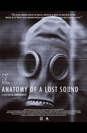 Anatomy of a Lost Sound (2025)