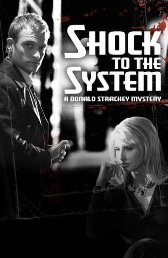 Shock to the System: A Donald Strachey Mystery (2006)