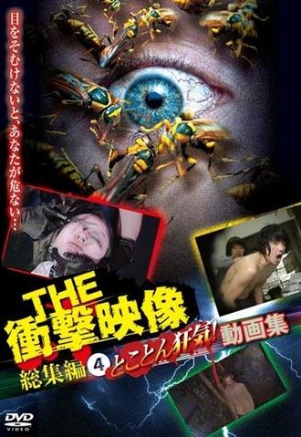 THE Shōgeki Eizō Sōshūhen (4) Tokoton Kyōki! Dōga-shū (2013)