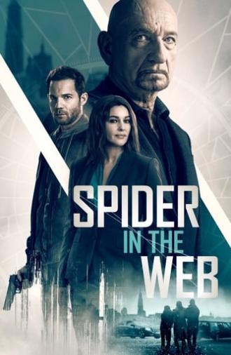 Spider in the Web (2019)