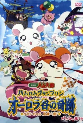 Hamtaro: Miracle in Aurora Valley (2003)