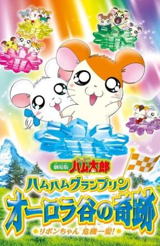 Hamtaro: Miracle in Aurora Valley (2003)