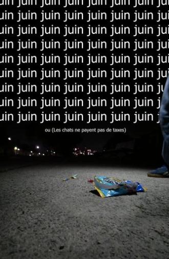 Juin ou (Les chats ne payent pas de taxes) (2025)