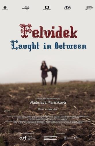 Felvidek – Caught in Between (2014)