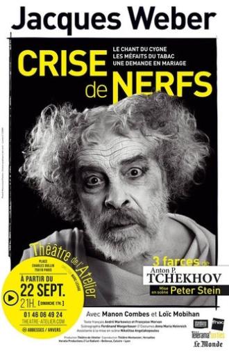 Crise de nerfs (2021)