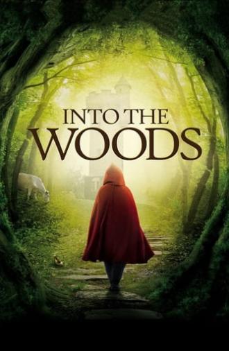 Into the Woods (1991)