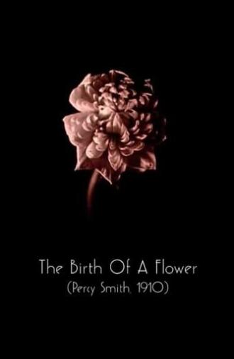 The Birth of a Flower (1910)