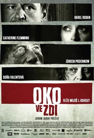 Oko ve zdi (2009)