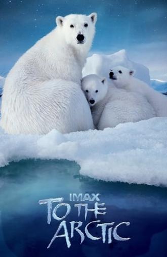 To the Arctic 3D (2012)