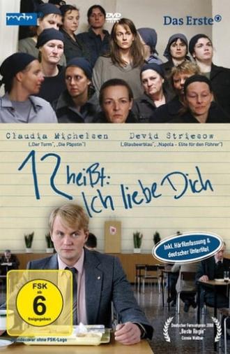 12 heißt: Ich liebe Dich (2008)