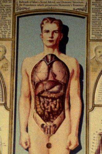 Natural History (1989)