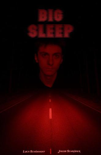 BIG SLEEP (2025)