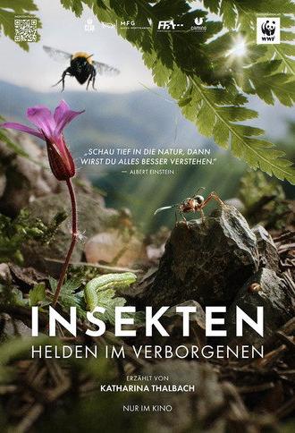 Insects – Hidden Heroes (2026)