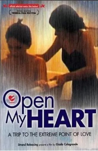 Open My Heart (2002)