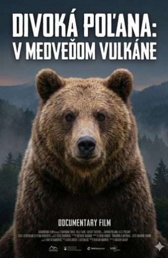 Divoká Poľana: V medveďom vulkáne (2023)