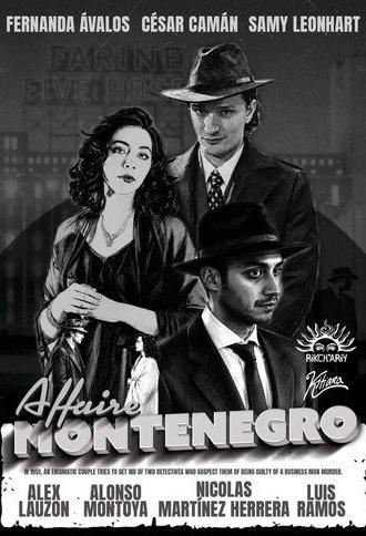 The Montenegro Affair (2026)