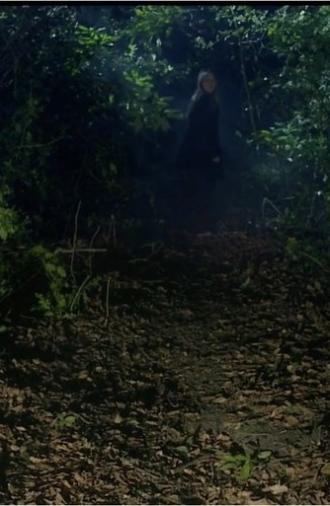 Gone (2013)