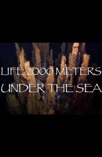 Life 2,000 Meters Under the Sea (2014)