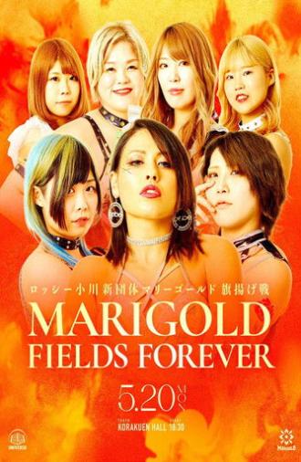 Marigold Fields Forever (2024)
