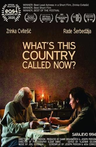 What's This Country Called Now? (2020)