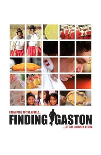 Finding Gastón (2014)