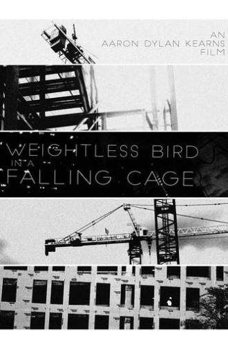 Weightless Bird In A Falling Cage (2017)