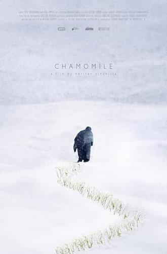 Chamomile (2012)