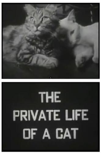 The Private Life of a Cat (1946)