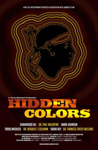 Hidden Colors (2011)