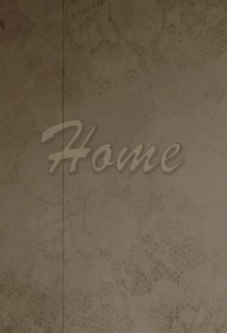 Home (2011)