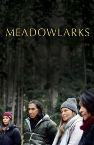 Meadowlarks (2025)