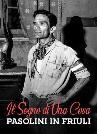 Il sogno di una cosa - Pasolini in Friuli (1976)