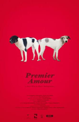 Premier Amour (2020)