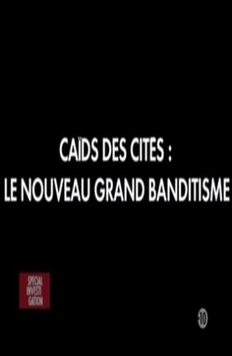 Caïds des cités: Le nouveau grand banditisme (2010)